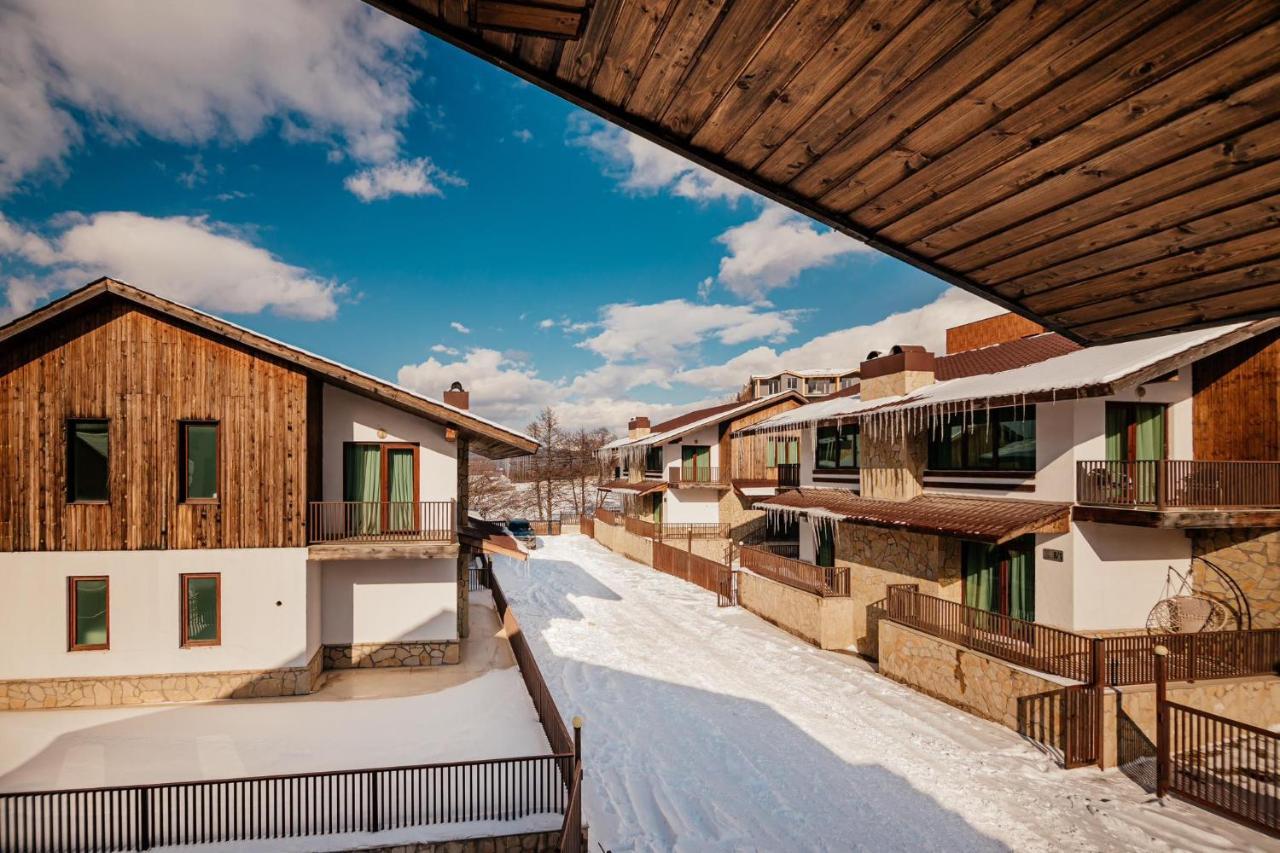 Villa In Crystal Bakuriani Eksteriør billede